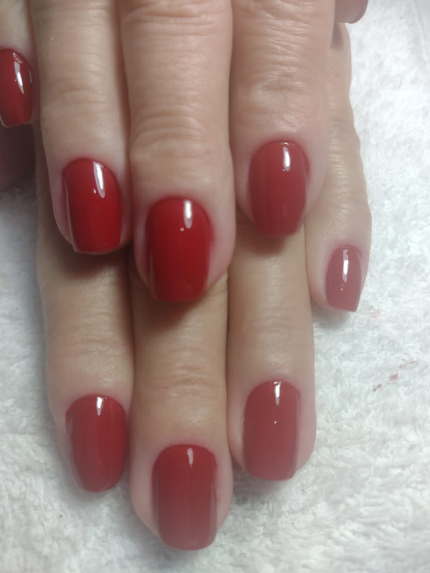 WhatsApp Image 2026-03-09 at 19.21.17